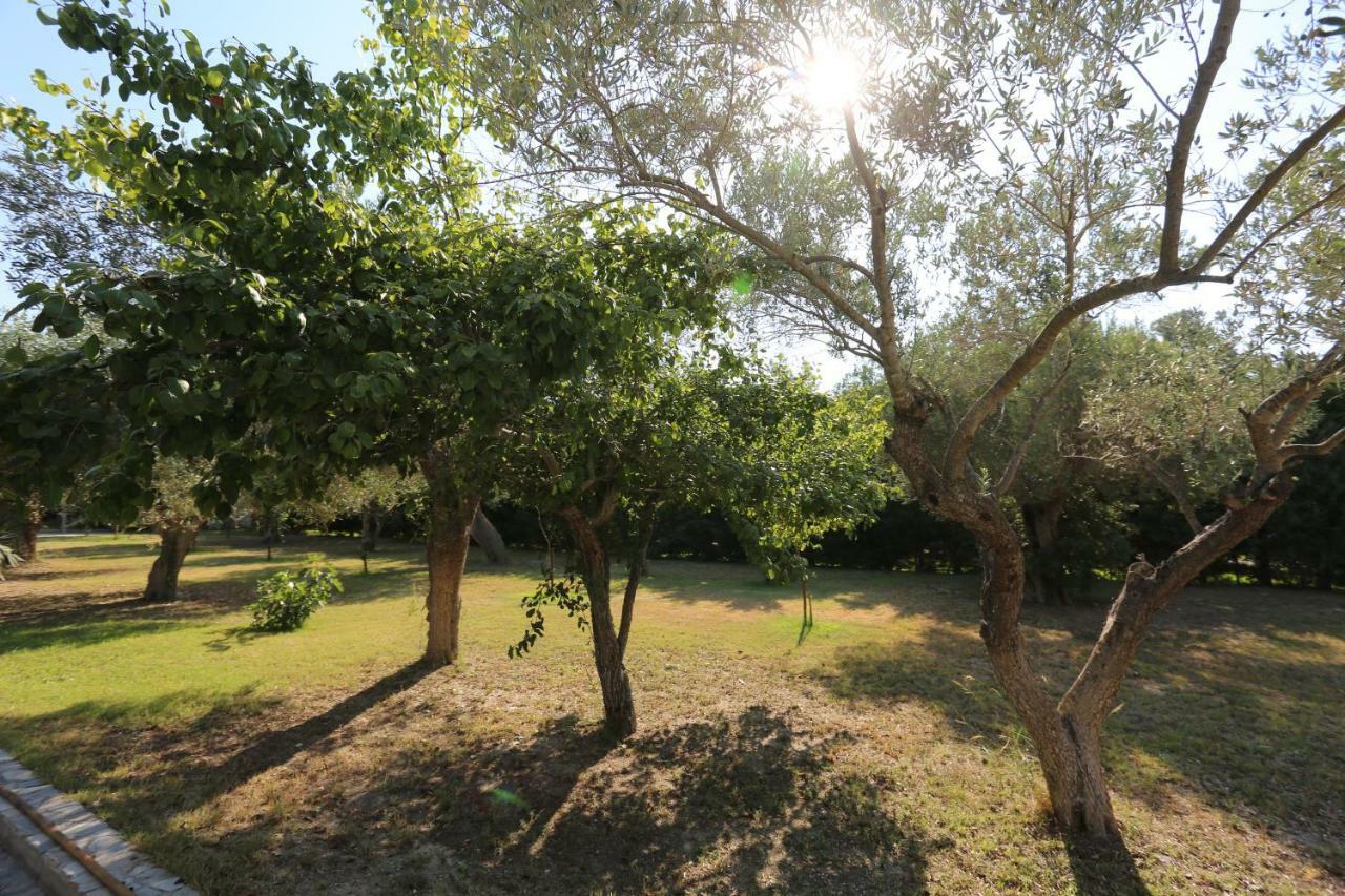 Villa Argo 3 - Beachfront, Big Gardens, Location! ペフコホリ エクステリア 写真